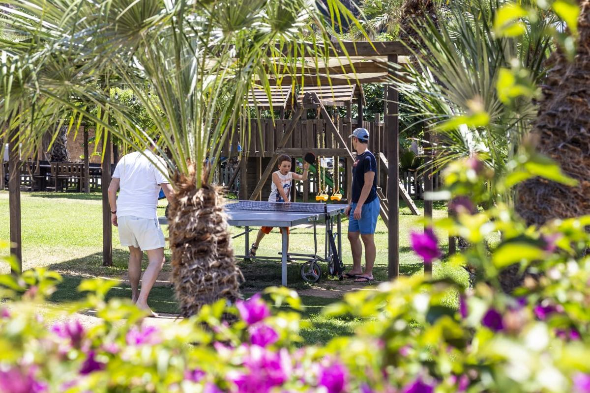 Persone giocano a ping pong in un giardino soleggiato.