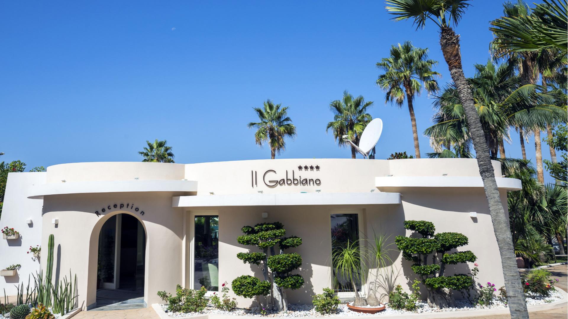 Ingresso dell'hotel Il Gabbiano con palme e cielo blu.