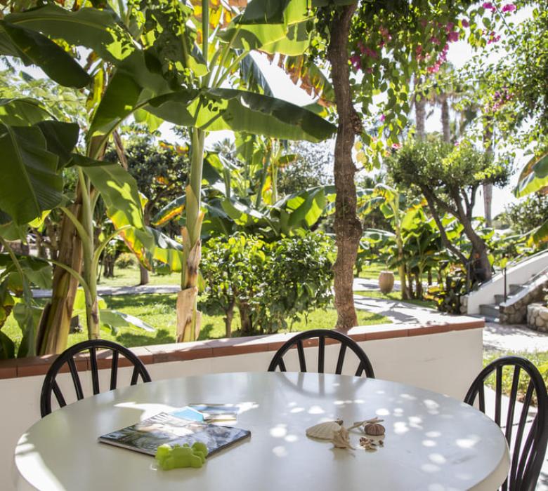 Giardino tropicale con tavolo rotondo e sedie, circondato da piante verdi.